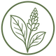 Rosemary Extract